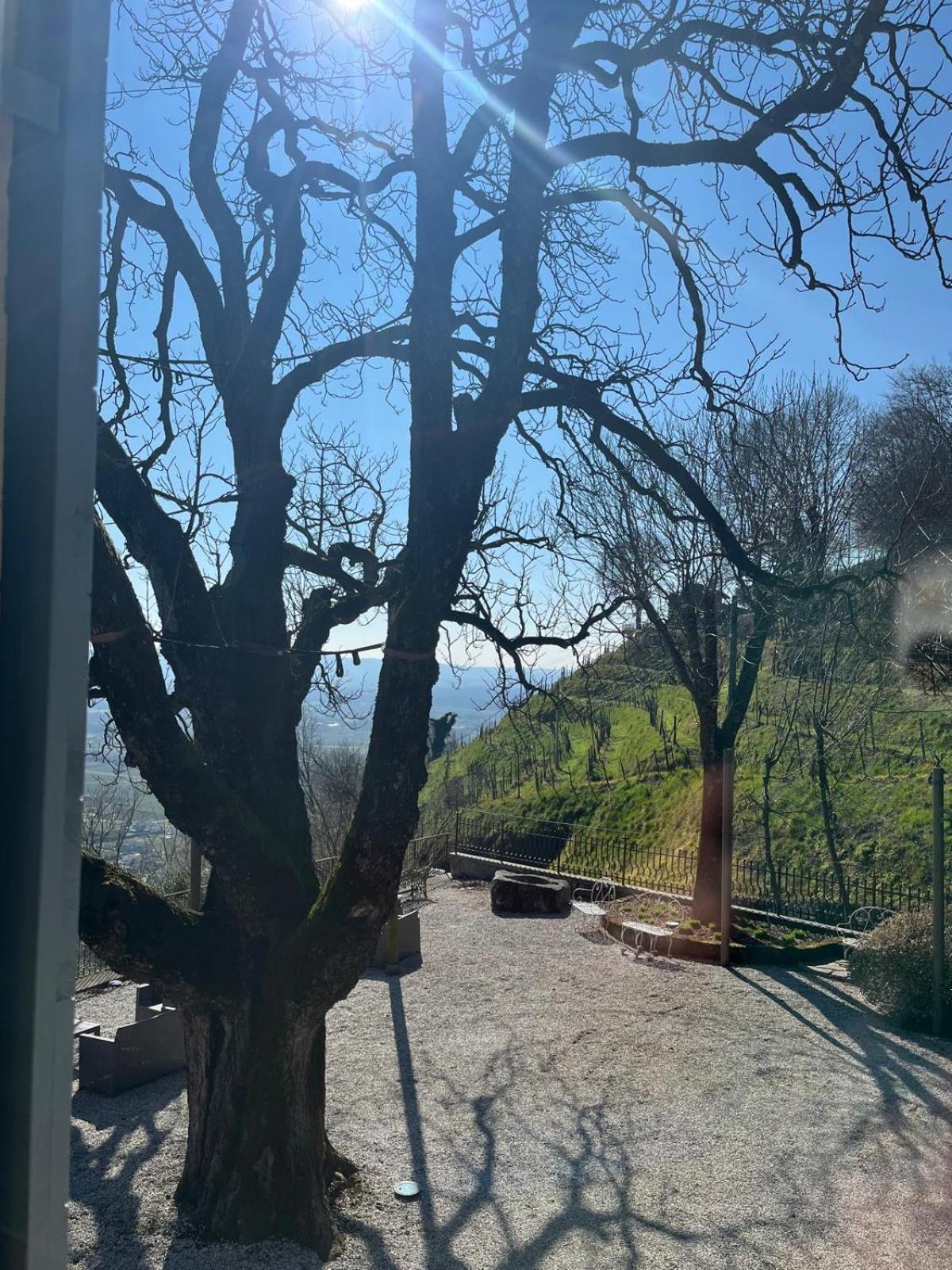 Locanda La Candola Farra di Soligo ภายนอก รูปภาพ